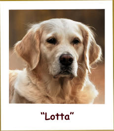 “Lotta”