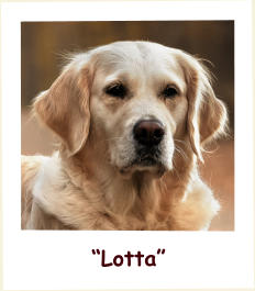 “Lotta”