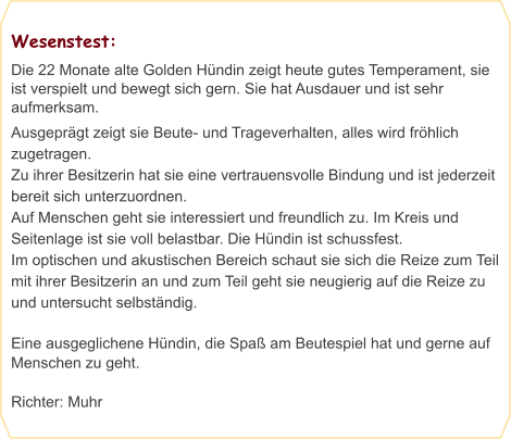 Wesenstest: Die 22 Monate alte Golden Hündin zeigt heute gutes Temperament, sie ist verspielt und bewegt sich gern. Sie hat Ausdauer und ist sehr aufmerksam. Ausgeprägt zeigt sie Beute- und Trageverhalten, alles wird fröhlich zugetragen. Zu ihrer Besitzerin hat sie eine vertrauensvolle Bindung und ist jederzeit bereit sich unterzuordnen. Auf Menschen geht sie interessiert und freundlich zu. Im Kreis und Seitenlage ist sie voll belastbar. Die Hündin ist schussfest. Im optischen und akustischen Bereich schaut sie sich die Reize zum Teil mit ihrer Besitzerin an und zum Teil geht sie neugierig auf die Reize zu und untersucht selbständig.  Eine ausgeglichene Hündin, die Spaß am Beutespiel hat und gerne auf Menschen zu geht.  Richter: Muhr