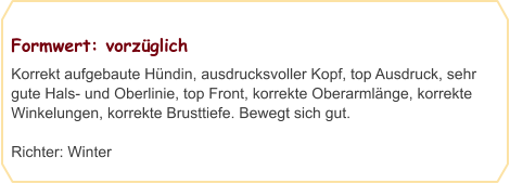 Formwert: vorzüglich Korrekt aufgebaute Hündin, ausdrucksvoller Kopf, top Ausdruck, sehr gute Hals- und Oberlinie, top Front, korrekte Oberarmlänge, korrekte Winkelungen, korrekte Brusttiefe. Bewegt sich gut.  Richter: Winter