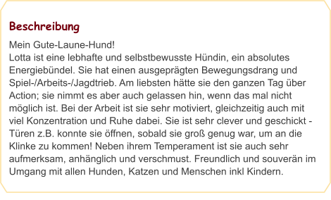 Beschreibung Mein Gute-Laune-Hund! Lotta ist eine lebhafte und selbstbewusste Hündin, ein absolutes Energiebündel. Sie hat einen ausgeprägten Bewegungsdrang und Spiel-/Arbeits-/Jagdtrieb. Am liebsten hätte sie den ganzen Tag über Action; sie nimmt es aber auch gelassen hin, wenn das mal nicht möglich ist. Bei der Arbeit ist sie sehr motiviert, gleichzeitig auch mit viel Konzentration und Ruhe dabei. Sie ist sehr clever und geschickt - Türen z.B. konnte sie öffnen, sobald sie groß genug war, um an die Klinke zu kommen! Neben ihrem Temperament ist sie auch sehr aufmerksam, anhänglich und verschmust. Freundlich und souverän im Umgang mit allen Hunden, Katzen und Menschen inkl Kindern.