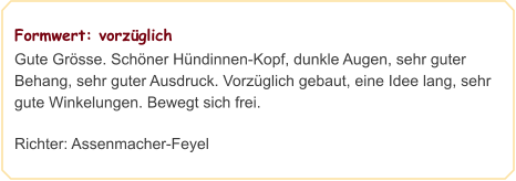 Formwert: vorzüglich Gute Grösse. Schöner Hündinnen-Kopf, dunkle Augen, sehr guter Behang, sehr guter Ausdruck. Vorzüglich gebaut, eine Idee lang, sehr gute Winkelungen. Bewegt sich frei.  Richter: Assenmacher-Feyel