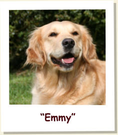 “Emmy”