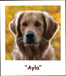 “Ayla”