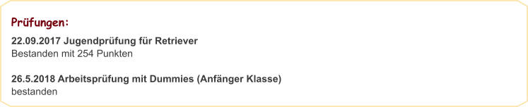 Prüfungen:                                                       22.09.2017 Jugendprüfung für Retriever Bestanden mit 254 Punkten  26.5.2018 Arbeitsprüfung mit Dummies (Anfänger Klasse) bestanden