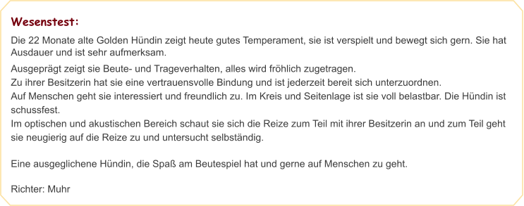 Wesenstest: Die 22 Monate alte Golden Hündin zeigt heute gutes Temperament, sie ist verspielt und bewegt sich gern. Sie hat Ausdauer und ist sehr aufmerksam. Ausgeprägt zeigt sie Beute- und Trageverhalten, alles wird fröhlich zugetragen. Zu ihrer Besitzerin hat sie eine vertrauensvolle Bindung und ist jederzeit bereit sich unterzuordnen. Auf Menschen geht sie interessiert und freundlich zu. Im Kreis und Seitenlage ist sie voll belastbar. Die Hündin ist schussfest. Im optischen und akustischen Bereich schaut sie sich die Reize zum Teil mit ihrer Besitzerin an und zum Teil geht sie neugierig auf die Reize zu und untersucht selbständig.  Eine ausgeglichene Hündin, die Spaß am Beutespiel hat und gerne auf Menschen zu geht.  Richter: Muhr