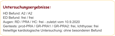 Untersuchungsergebnisse:  HD Befund: A2 / A2                                                                          ED Befund: frei / frei Augen: RD / PRA / HC: frei - zuletzt vom 10.9.2020 Gentests: prcd-PRA / GR-PRA1 / GR-PRA2: frei, Ichthyose: frei freiwillige kardiologische Untersuchung: ohne besonderen Befund