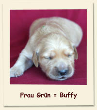 Frau Grün = Buffy