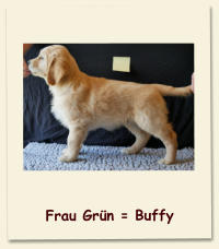 Frau Grün = Buffy