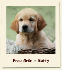 Frau Grün = Buffy