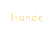 Hunde