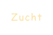 Zucht