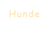 Hunde