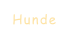 Hunde