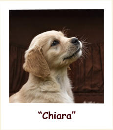 “Chiara”