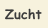 Zucht