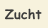 Zucht